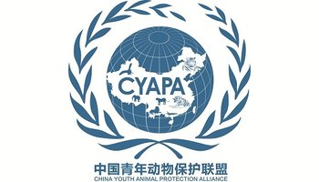 联盟标志