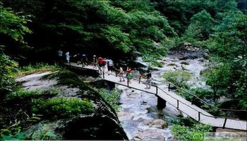 这就是1990年经国家林业部批准成立的武汉市第一家——青龙山森林公园