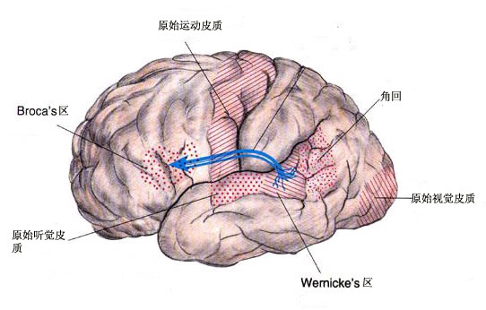 t013aba4dada517a77b.jpg