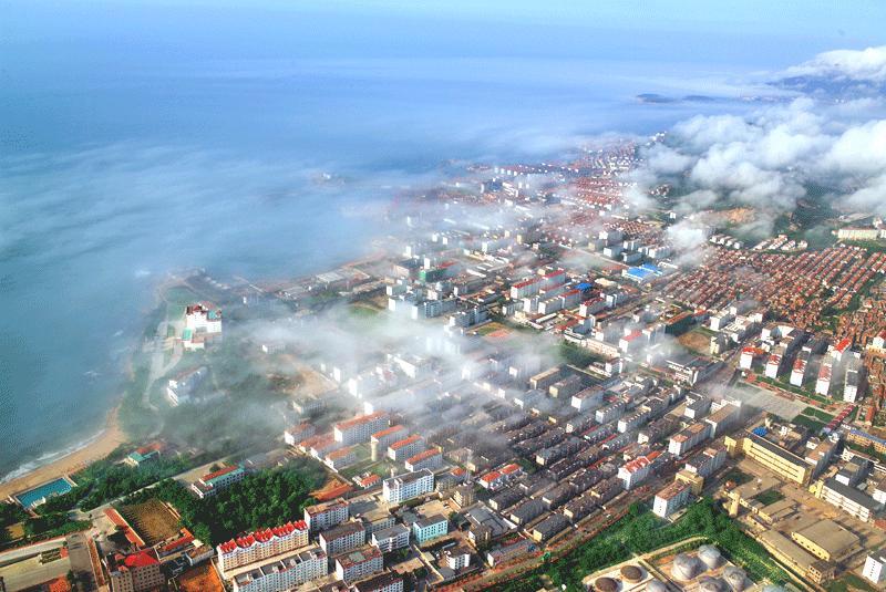 石岛gdp_石岛红(2)