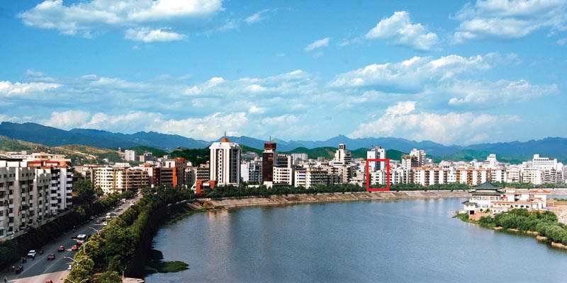 广元市市花为桂花,市树为柏树.