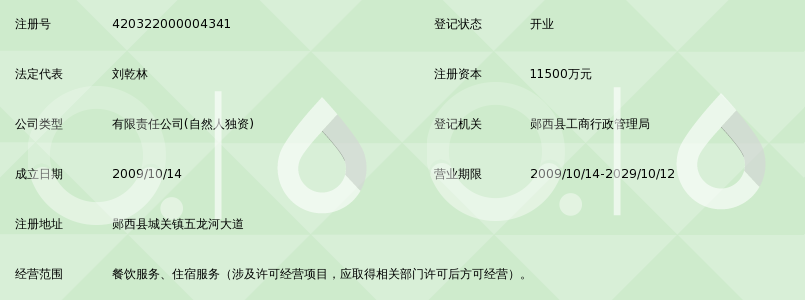 湖北卓越集团天河国际大酒店有限公司