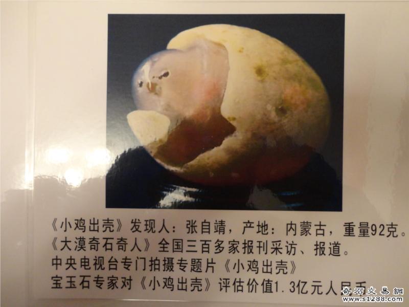[转载]小鸡出壳