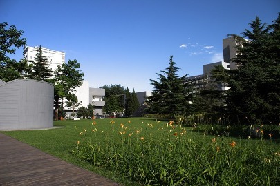北京电影学院