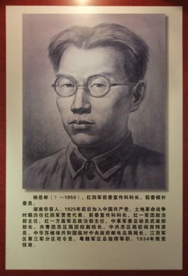 杨岳彬