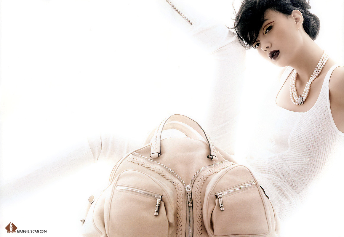 内地观众或许对胥力文还不熟悉,但是在香港和时尚界胥力文却是大名