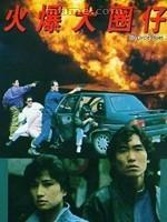 大圈仔 wiki